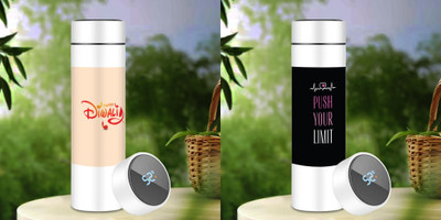 Giftsland 500 ml Steel Flask(Pack of 2, Multicolor)