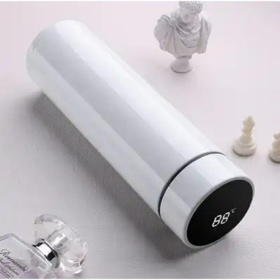 Seyes 500 ml Plastic, Steel Bottle(Pack of 1, Silver)