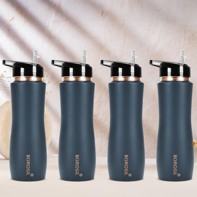 BOROSIL 750 ml Copper Sipper(Pack of 4, Grey)