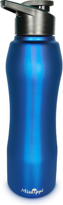 MISSIPPI 1000 ml Steel Sipper(Pack of 1, Blue)