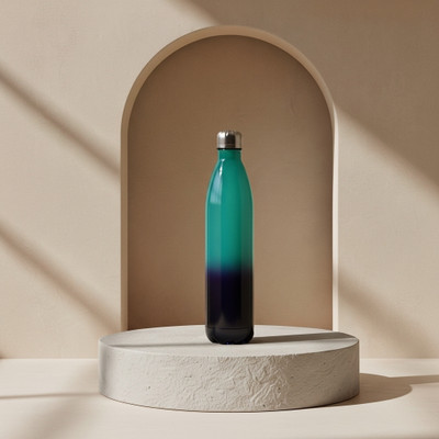 Ginoya Brothers 750 ml Stainless Steel Bottle(Pack of 1, Light Blue, Blue)