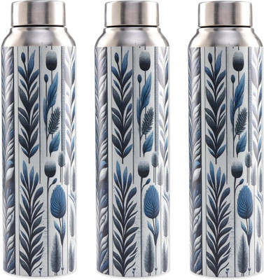 KUBER INDUSTRIES 1000 ml Steel Bottle(Pack of 3, Steel/Chrome)