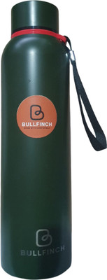 Bullfinch 800 ml Steel Bottle(Pack of 1, Green)