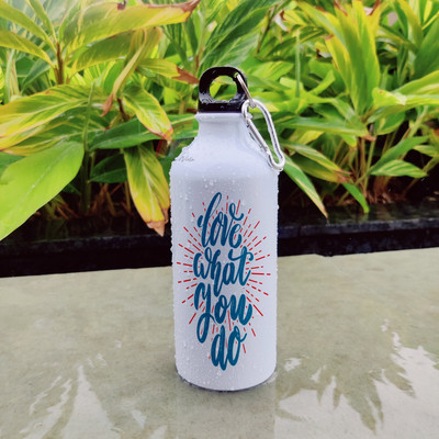 Palesaa 600 ml Aluminium Sipper(Pack of 1, Multicolor)