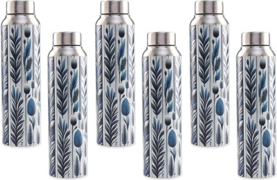 KUBER INDUSTRIES 1000 ml Steel Bottle(Pack of 6, Steel/Chrome)