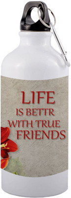 EchoPrints 650 ml Aluminium Sipper(Pack of 1, White)