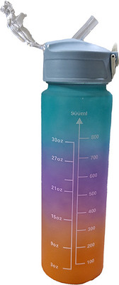 saffronhome 1000 ml Plastic Shaker(Pack of 1, Blue)