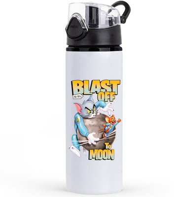 Trendblend 750 ml Steel Shaker(Pack of 1, Silver)