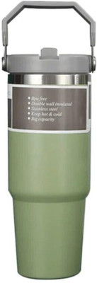 Favria 890 ml Steel Sipper(Pack of 1, Green)