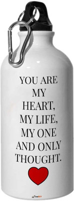 FirseBUY 600 ml Aluminium Sipper(Pack of 1, Multicolor)