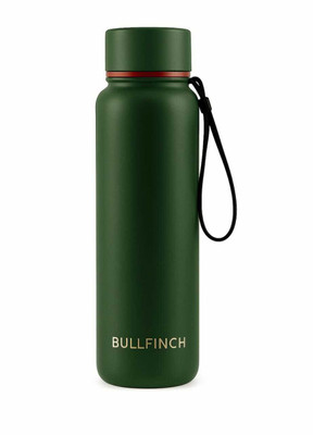 Bullfinch 800 ml Steel Bottle(Pack of 1, Green)