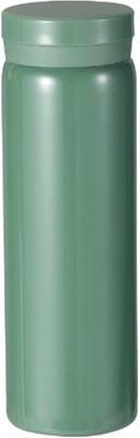 TeraaBliss 300 ml Stainless Steel Flask(Pack of 1, Green)
