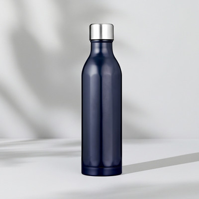 Ginoya Brothers 500 ml Stainless Steel Bottle(Pack of 1, Blue)