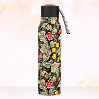 BOROSIL 600 ml Steel Bottle(Pack of 1, Multicolor)