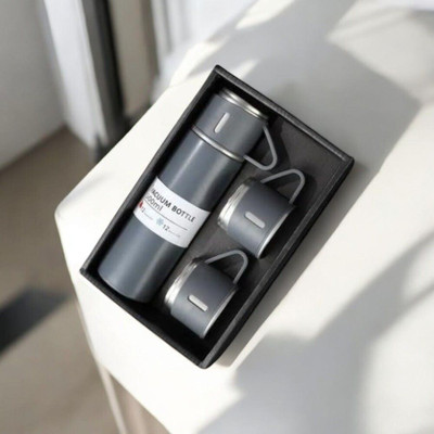 EOXO 500 ml Steel Flask(Pack of 1, Grey)