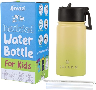 Solara Insulated Water Bottle 450 ml Water Bottle(Set of 1, Green)