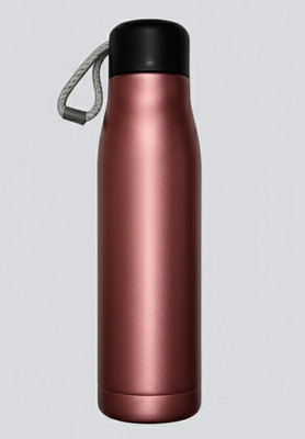 LIZZ 500 ml Stainless Steel Bottle(Pack of 1, Pink)