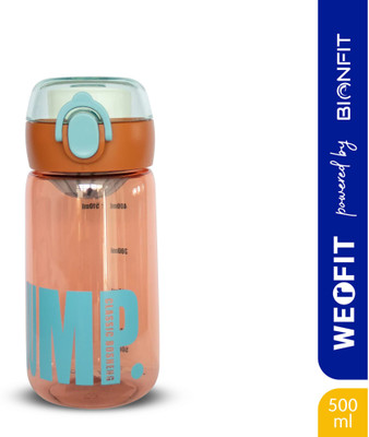 WErFIT 500 ml Plastic Shaker(Pack of 1, Multicolor)