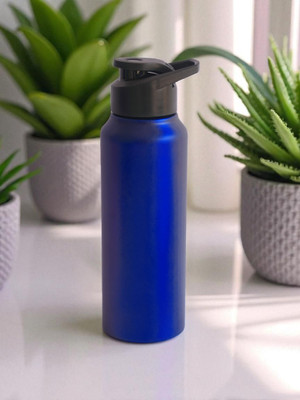 Sumukha 750 ml Steel Shaker(Pack of 1, Blue)