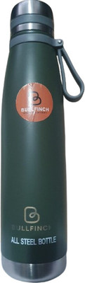Bullfinch 1000 ml Steel Bottle(Pack of 1, Green)