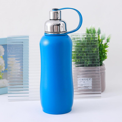 KUBER INDUSTRIES 750 ml Steel Sipper(Pack of 1, Blue)