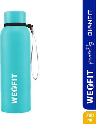 WErFIT 700 ml Steel Shaker(Pack of 1, Blue)