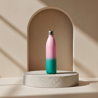 Ginoya Brothers 750 ml Stainless Steel Bottle(Pack of 1, Light Blue, Pink)