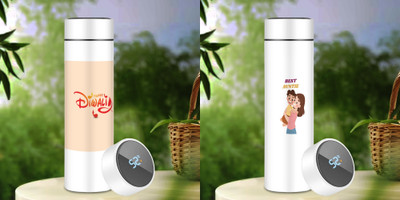 Giftsland 500 ml Steel Flask(Pack of 2, Multicolor)