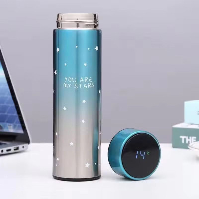 Swagify 500 ml Stainless Steel Bottle(Pack of 1, Light Blue)