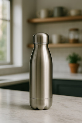 WTS 500 ml Stainless Steel Bottle(Pack of 1, Silver)
