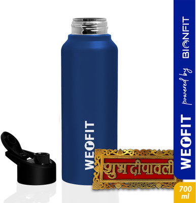 WErFIT 700 ml Steel Shaker(Pack of 1, Blue)