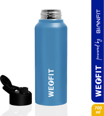 WErFIT 700 ml Steel Shaker(Pack of 1, Blue)