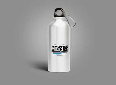 Motivatebox 750 ml Steel Sipper(Pack of 1, Steel/Chrome)