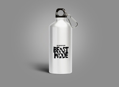 Motivatebox 750 ml Steel Sipper(Pack of 1, Steel/Chrome)