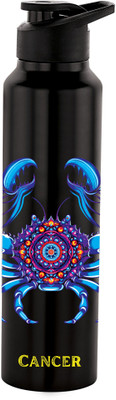 NIRLON 1000 ml Steel Bottle(Pack of 1, Black)