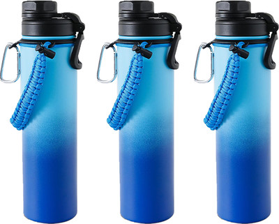 KUBER INDUSTRIES 720 ml Steel Bottle(Pack of 3, Blue)