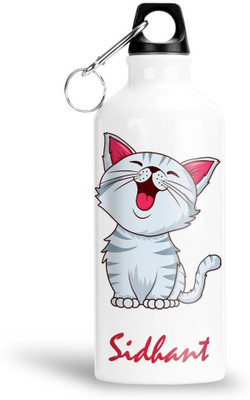Theelevenstore 750 ml Aluminium Bottle(Pack of 1, Multicolor)