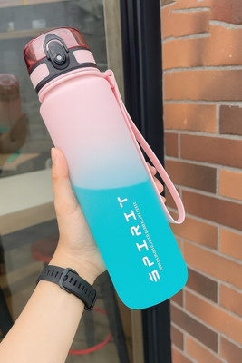 KeepCart 1000 ml Plastic Bottle(Pack of 1, Pink, Blue)