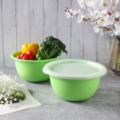 VoiDrop Melamine Serving Bowl(Pack of 2, Green)