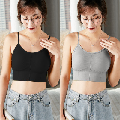 Vihrik VIHRIK BRA Women Everyday Lightly Padded Bra(Multicolor)