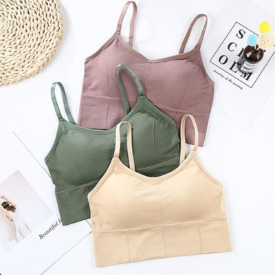 under 1000 Women Everyday Lightly Padded Bra(Multicolor)