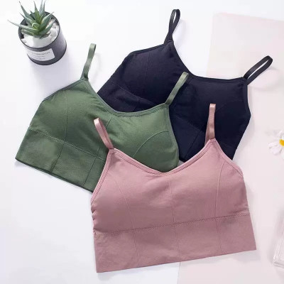 swenson Women Everyday Lightly Padded Bra(Black, Green, Purple)