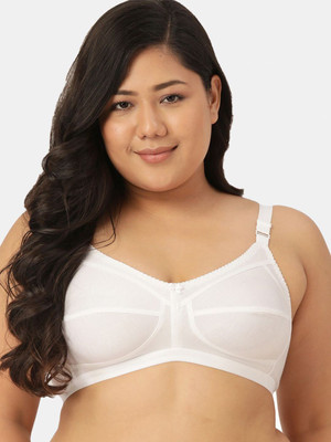 Sztori Pack of 2 Cotton T-Shirt Bra Women T-Shirt Non Padded Bra(White)