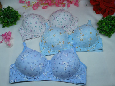 VST Women Everyday Lightly Padded Bra(White, Pink, Light Blue)