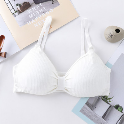 DARKVELLY JYOTI402 Women Everyday Lightly Padded Bra(White)