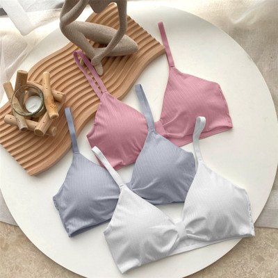 Comfy Secret Women Everyday Lightly Padded Bra(Multicolor)