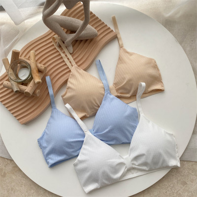 Comfy Secret Women Full Coverage Lightly Padded Bra Women Full Coverage Lightly Padded Bra(Multicolor)