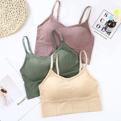 under 1000 Women Everyday Lightly Padded Bra(Brown)