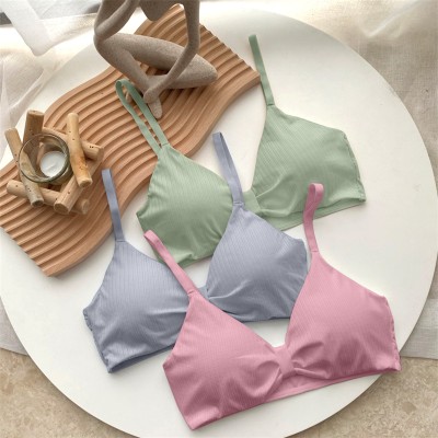 Comfy Secret Women Everyday Lightly Padded Bra(Light Blue, Light Green, Pink)