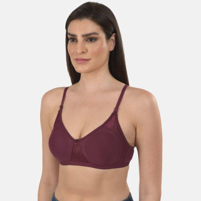 mod & Shy Women T-Shirt Non Padded Bra(Purple)